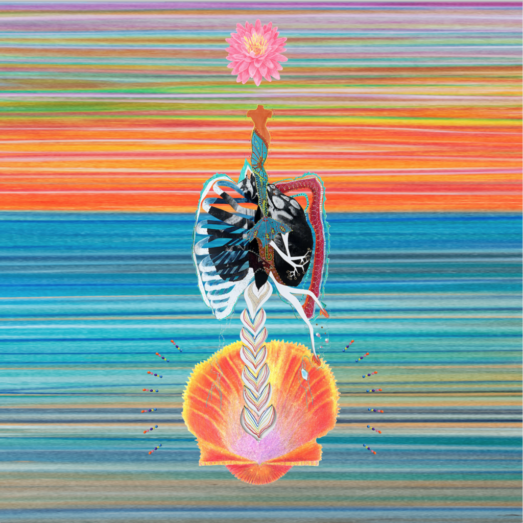 Mont-Ida_Queer-lotus-vénus-os-personnage-féminin-coquillage-coucher-de-soleil-eau-multicolore-oeuvre-art-portable-vulvéïque-sac-à-dos-housse-de-couette-Amélie-Lamontagne-La-Montagne-Ô